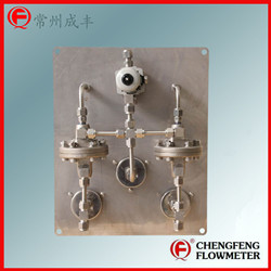 LZB-4DK-2-M-RA-8-P purge set with glass tube flowmeter  [CHENGFENG FLOWMETER] high accuracy stainless steel panel permanent flow valve  good quality
